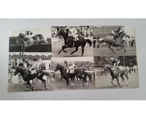 HORSE RACING, press photo selection, mainly flat racing, inc. mainly jockeys &amp; horses, in action; Lester Piggott, Peter S