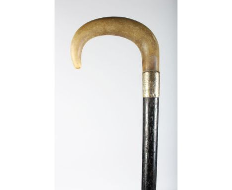A POSSIBLY RHINO HORN HANDLE WALKING STICK with silver band.