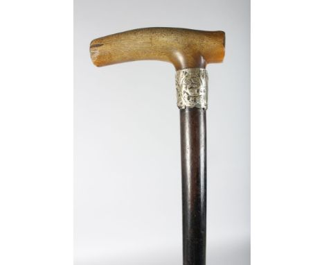 A POSSIBLY RHINO HORN HANDLE WALKING STICK with silver band.