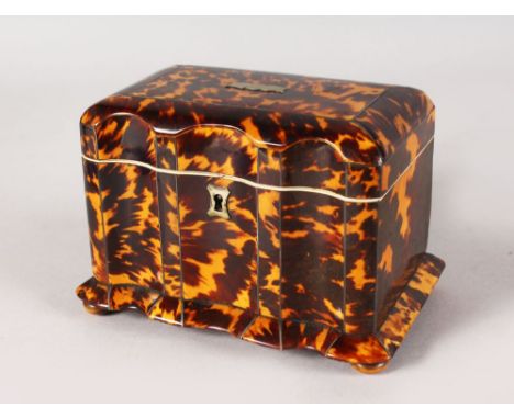 A VERY GOOD REGENCY TORTOISESHELL TWO DIVISION TEA CADDY, with ivory handles, on satinwood bun feet. 6.5ins long x 4.75ins hi