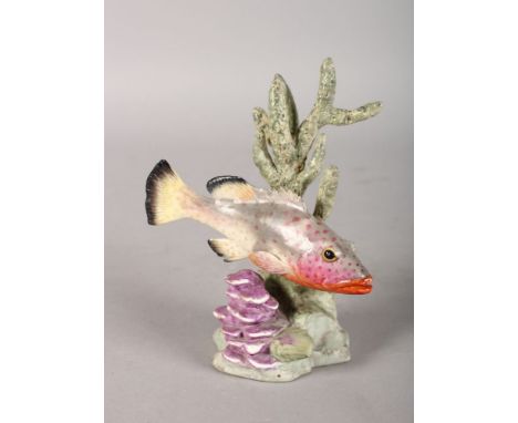 A ROYAL WORCESTER FISH "RED HIND", No. 3572, modelled by R. Van Ruyckevelt. 5ins high.