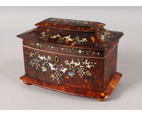 A VERY GOOD REGENCY TORTOISESHELL AND MOTHER-OF-PEARL TWO DIVISION TEA CADDY, on satinwood bun feet. 8ins long x 5.5ins high.