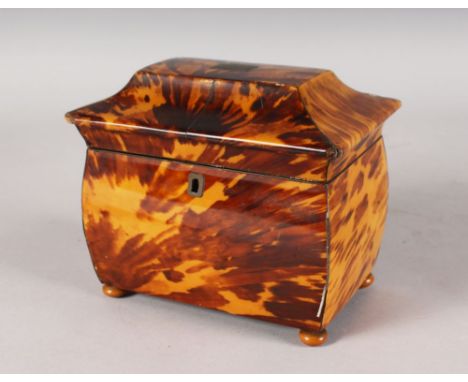 A VERY GOOD REGENCY TORTOISESHELL TWO DIVISION TEA CADDY, on satinwood bun feet. 7ins long x 6.5ins high.