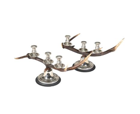 A PAIR OF THREE LIGHT ANTLER AND SILVER PLATED CANDELABRA  RECENTLY MANUFACTURED BY REDMILE, LONDON Each antler fitted with t