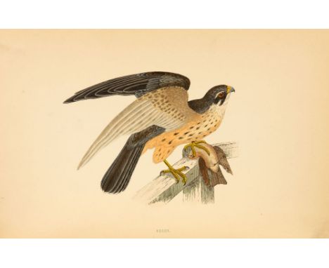 Morris, Francis Orpen: A history of British birds. Second Edition. 6 Bde. London: Bell &amp; Sons 1870. 25 x 17 cm. Mit 365 k