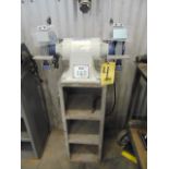 DOUBLE END PEDESTAL GRINDER, DAYTON MDL. 48WE50A, 8", variable speed