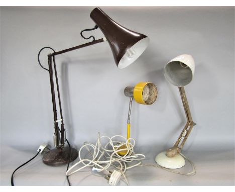 A mixed lot to include a Habitat Maclamp, an anglepoise lamp, a snake lamp (3) 