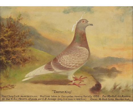 ▴ Andrew Beer (1862-1954)'Darran King'signed 'Andrew Beer' l.l., inscribed 'Darran King/Red Cheq Cock. NU.RP.30.P.H.605. Posi
