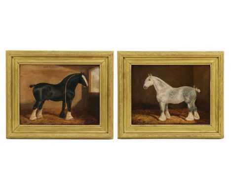 Albert Clark (1843-1928)'Bury Victor Chief', a shire horse in a stable;A grey shire horse in a stablea pair the first inscrib