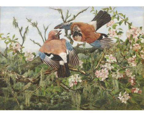Catherine H Greig (20th century)Jayssigned 'Catherine H Greig' l.r., oil on canvas46 x 61cmCondition Reportoverall: 63 x 78.5