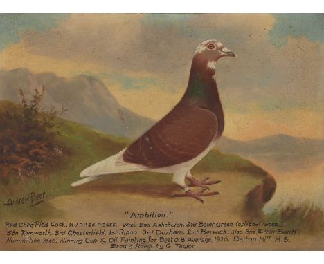 ▴ Andrew Beer (1862-1954)'Ambition'signed 'Andrew Beer' l.l., and inscribed 'Ambition./Red Cheq Pied Cock. N.U.RP.25. P.3555.