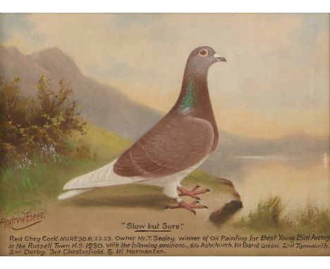 ▴ Andrew Beer (1862-1954)'Slow but Sure'signed 'Andrew Beer' l.l., and extensively inscribed 'Slow but Sure./Red Cheq. Cock. 