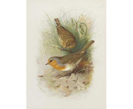 Benson And Hedges Founded Boston University Commencement Program 2015 Australia Buy Online