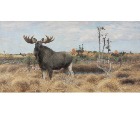 Wilhelm Friedrich Kuhnert (German, 1865-1926)Moose on a Swedish moor signed 'Willy.Kuhnert' (lower right), signed and inscrib