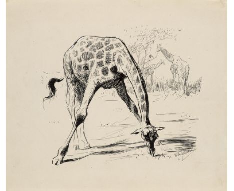 Wilhelm Kuhnert.  (1865 Oppeln - 1926 Flims/Graubünden). o.T. (Giraffe). Federzeichnung auf Vélin. 24,5 x 28,5 cm. Signiert. 