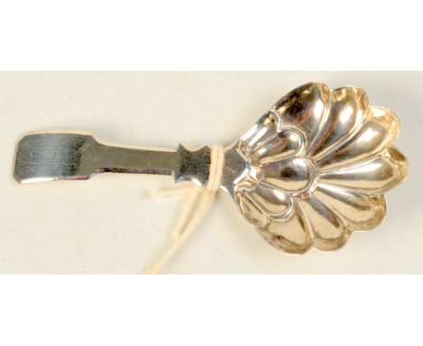 A George IV fiddle pattern caddy spoon with shell bowl by Joseph Wilmore.
