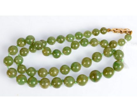 A jade necklace with 9ct gold clasp.   Condition report: no condition issues.
