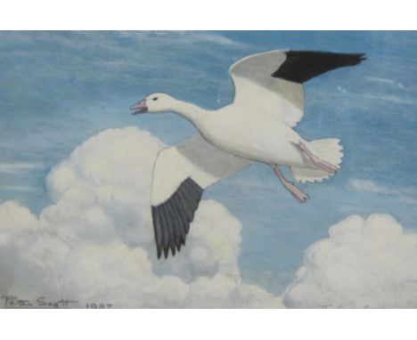 ‡SIR PETER SCOTT (1909-1989) The Snow Goose signed, inscribed and dated ’Peter Scott, The Snow Goose, 1987’ watercolour heigh