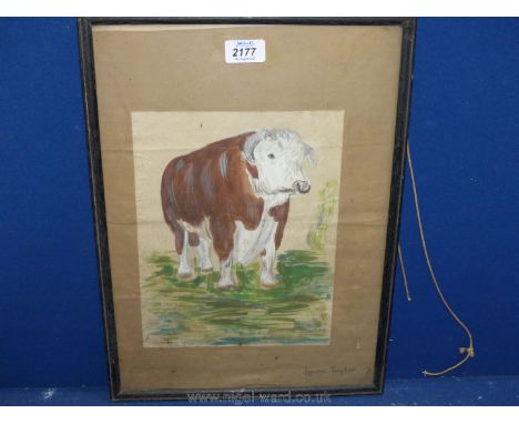 A framed watercolour and pencil sketch of a Hereford Bull by Laura Taylor.