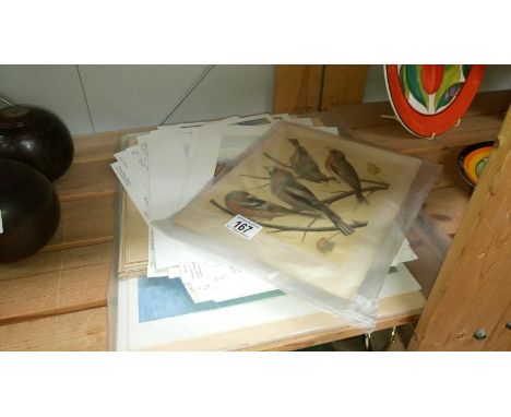 A quantity of prints including birds, fox hunting, countryside etc