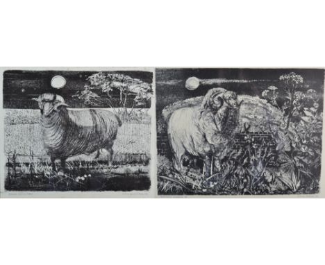 Colin Gard Allen (b.1926-1987) ''Spanish Merino Sheep'' ''Spanish Merino II'' Each signed, inscribed and dated (19)56, lithog