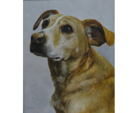 Krystyna Lange, Study of a Labrador, signed and dated 1995, pastel drawing, 38cm x 29cm, another pet portrait, a watercolour 