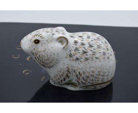 Boxed Royal Crown Derby paperweight Riverbank Vole. First quality with stopper.  In good condition with no obvious damage or 