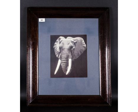 R.D Gallion Print Of Elephant in dark wooden antique frame,