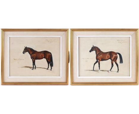 LIONEL HAMILTON-RENWICK 1919-2003  OILS ON BOARD A pair of horses "Study of Habitat, Grange William" & "Northern Baby, Study 