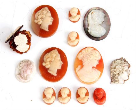 A COLLECTION OF CAMEO FEMALE BUST PORTRAITS including a mother of pearl example and six miniatures (13)