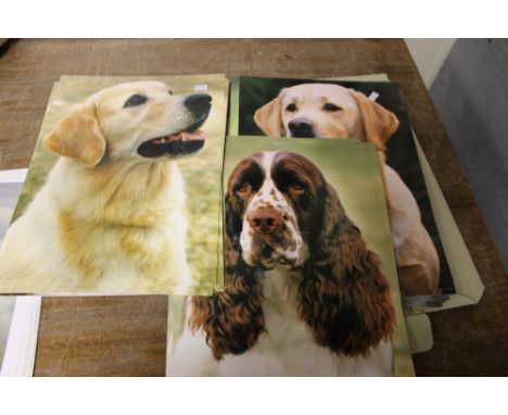 A QUANTITY OF DOG PRINTS