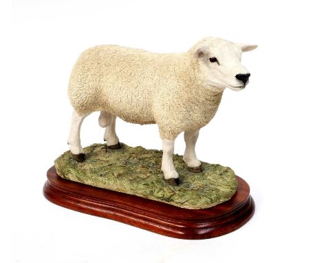 Border Fine Arts 'Texel Ram' (Style Two), model No. B0530 by Jack Crewdson, limited edition 830/1500, on wood base, with cert