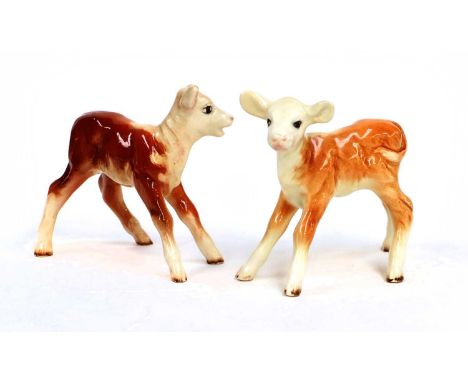 Beswick Hereford Calf, First Version (Mouth Open), model No. 901A, and Another, model No. 901B, both brown and white gloss (2