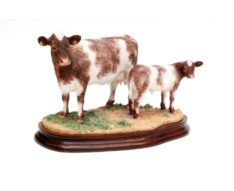 Border Fine Arts 'Beef Shorthorn Cow and Calf', model No. 1139 by Kirsty Armstrong, limited edition 151/500, on wood base, wi