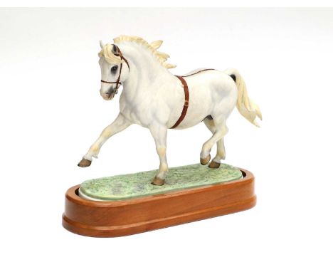 Royal Worcester Welsh Mountain Pony ''Coed Coch Planed'', model No. RW3802 by Doris Lindner, limited edition of 500, on woode