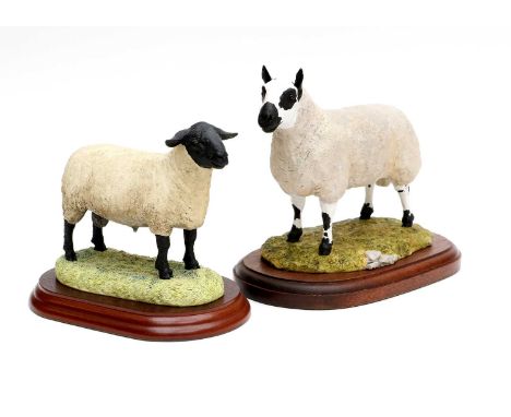 Border Fine Arts 'Suffolk Tup' (Style One), model No. B0196 by Anne Wall; together with Castle Sculptures 'Kerry Hill Ram', b