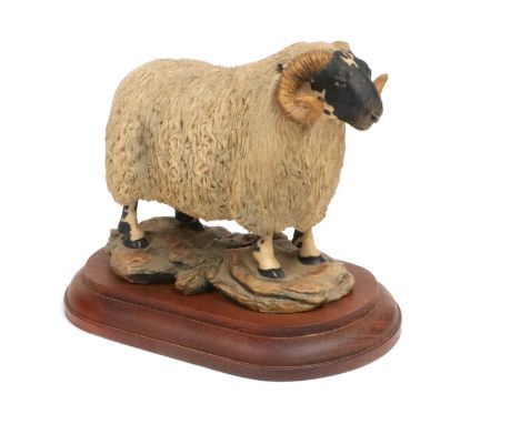 Border Fine Arts 'Blackfaced Tup' (Style One), model No. L15 by Mairi Laing Hunt, limited edition 319/750, on wood base, with