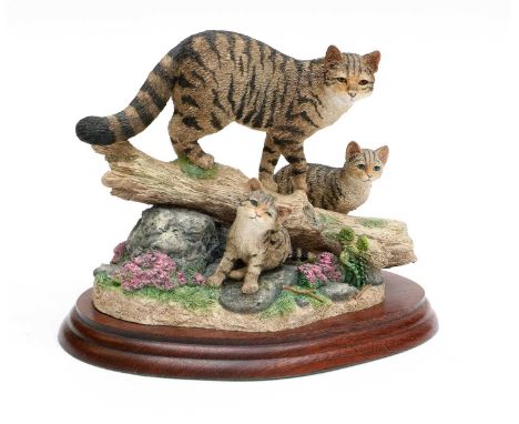 Border Fine Arts 'Highland Secret' (Scottish Wildcat), model No. B0948 by Ray Ayres, limited edition 210/250, on wood base, w