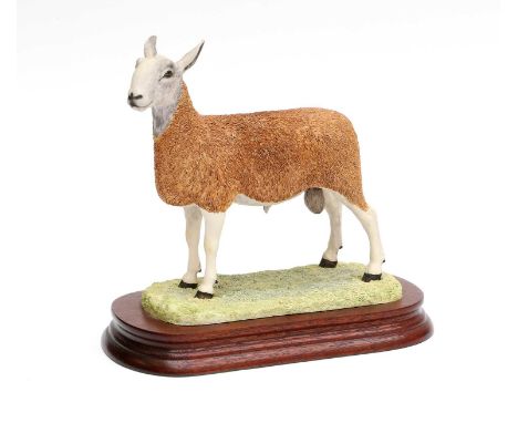 Border Fine Arts 'Blue Faced Leicester Tup' (Style One), model No. B0149 by Ray Ayres, limited edition 158/950, on wood base,