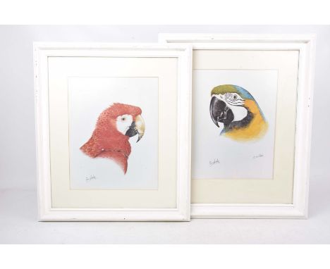 After Eric Peake "Study of a Macaw" Along with a companion a green, yellow and blue Macaw, each print signed in pencil by the