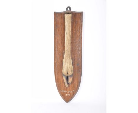 An item of taxidermyA deer foot mounted on a shaped oak plaque dated Friday April 4 1919 with a label verso C Yeoman Taxiderm