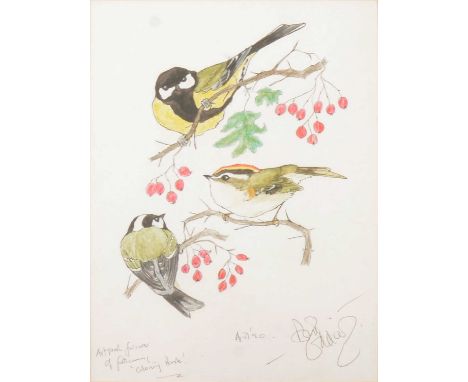 Bill Oddie's 'Colouring Guide to Birds' book, with his original signed sketch of the cover, 19x27cm.