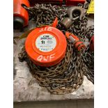 CM 1-Ton Capacity Chain Block