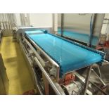 GA Wright and Son ltd. Inspection Belt ser. no. 10799-003 30 in. x 16 ft. L with LOMA IQ2 metal