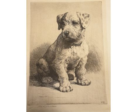 After Herbert DickseeEngravingStudy of a Puppy, signed in pencil with artist blind studio stamp lower left