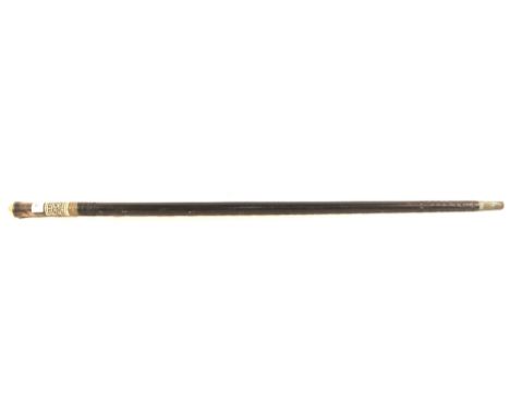 An Anglo Indian sword stick