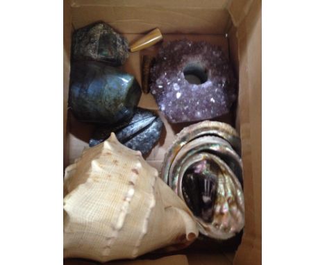 A box of assorted minerals and shells.