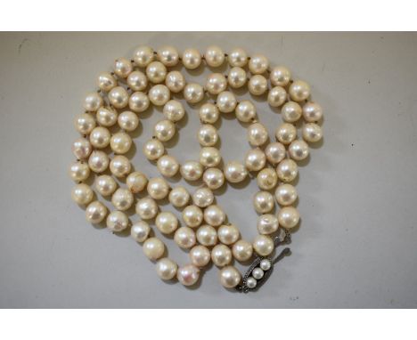 A single strand of pearls, having silver and pearl clasp, 79cm. 