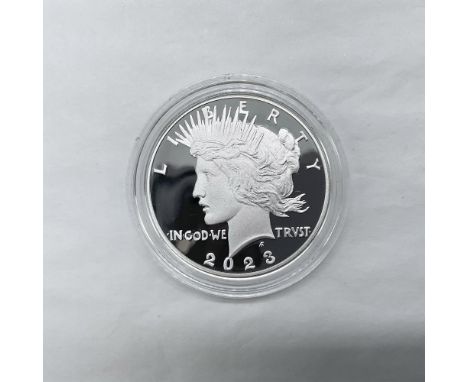The obverse side features Liberty in profile with a radiant crown. The reverse side depicts an eagle perched on a rock holdin