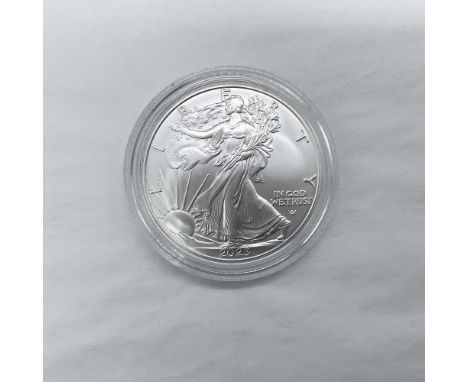 West Point Mint. The obverse side features full length of Liberty in stride. She is shown wrapped in the folds of the flag of